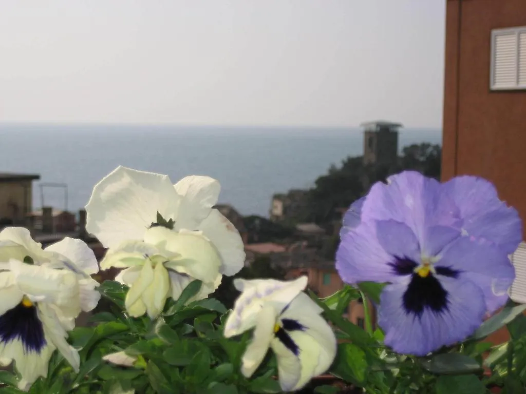 Guest house Villa Cristina Monterosso al Mare Italy